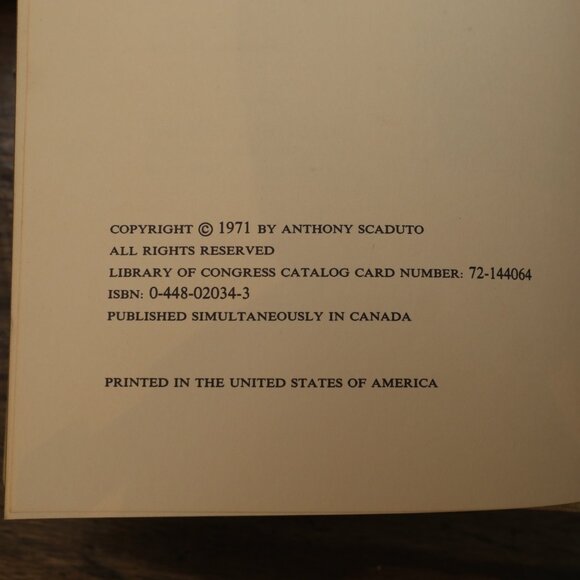 Bob Dylan An Intimate Biography - Picture 12 of 12